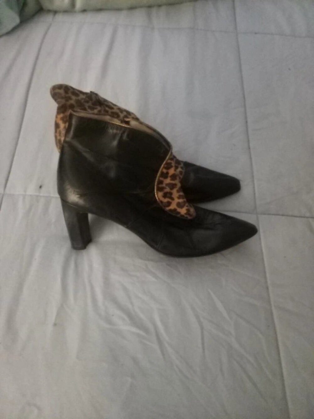 Black and Leopard